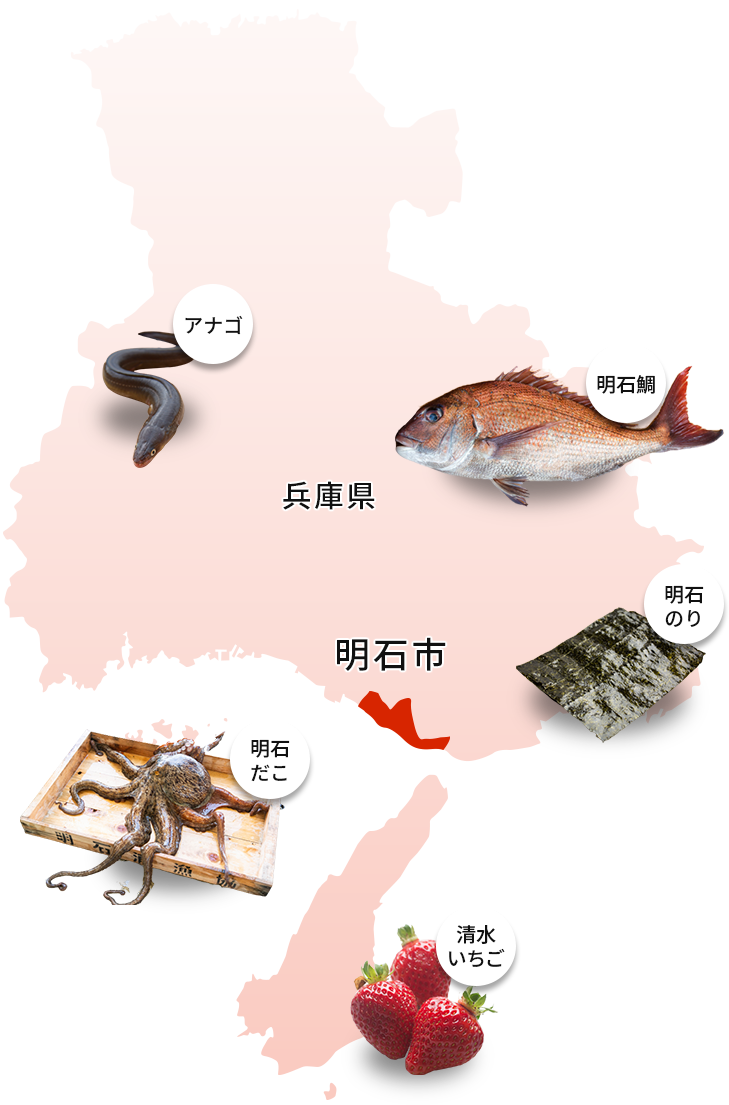兵庫県の南部、瀬戸内海に面した明石市では、明石鯛やアナゴ、明石だこ、明石のり、清水いちごなど様々な食を楽しむことができます。