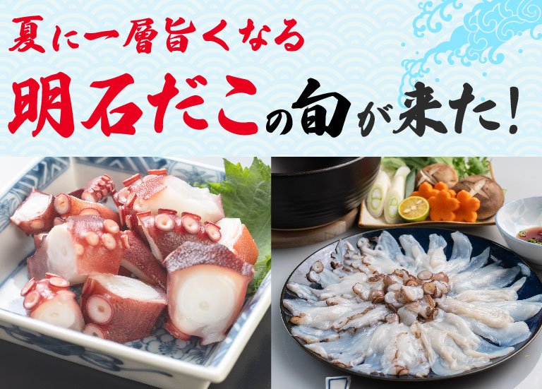明石だこ特集