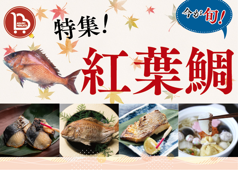 紅葉鯛特集！