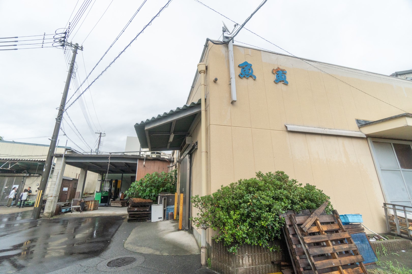 魚寅（井上商店）