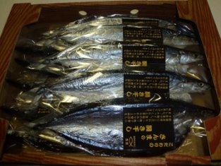 並べられたさんまの開き干し
