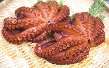 ザルの上に乗った2杯の明石ダコ柔らか煮